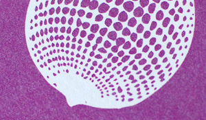 betsy and larry: springtime in san fran