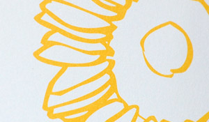 jamie and sal: sunflowers and skyline